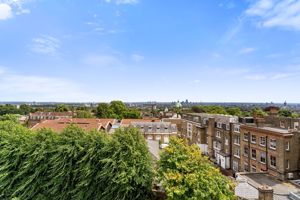 View from Roof- click for photo gallery